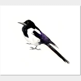 Magpie Posters and Art